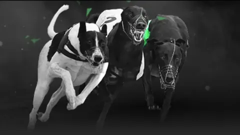 决战时刻！申花与津门虎中超末轮巅峰对决，关键双星对决定胜负，悬念迭起，不容错过！