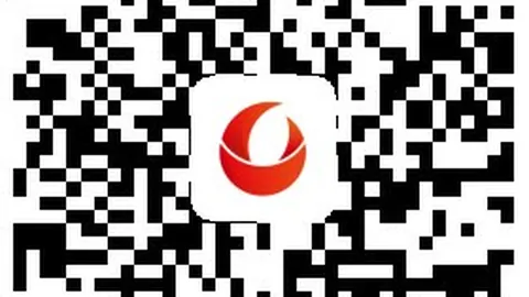 东契奇加盟后场均得分335，领跑新队阵容，超越詹姆斯成队史第二高分巨匠